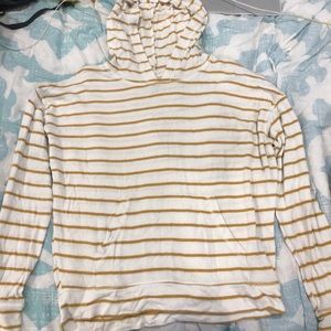 American Eagle Hooded sweater